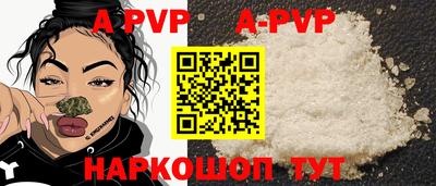 гашик Моздок