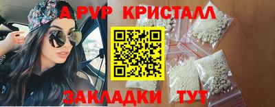 гашик Моздок