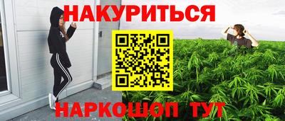 гашик Моздок