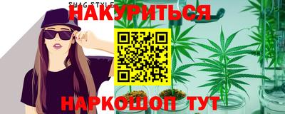 гашик Моздок