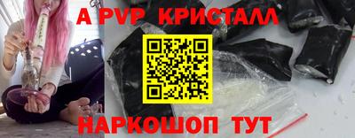 гашик Моздок