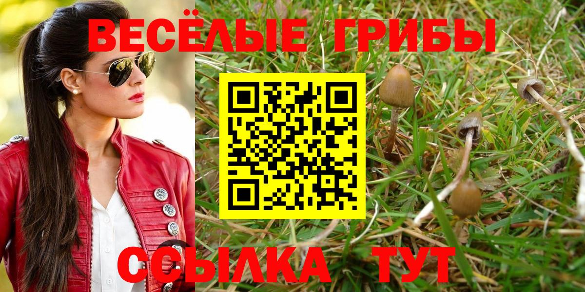 Кодеин Павловский Посад