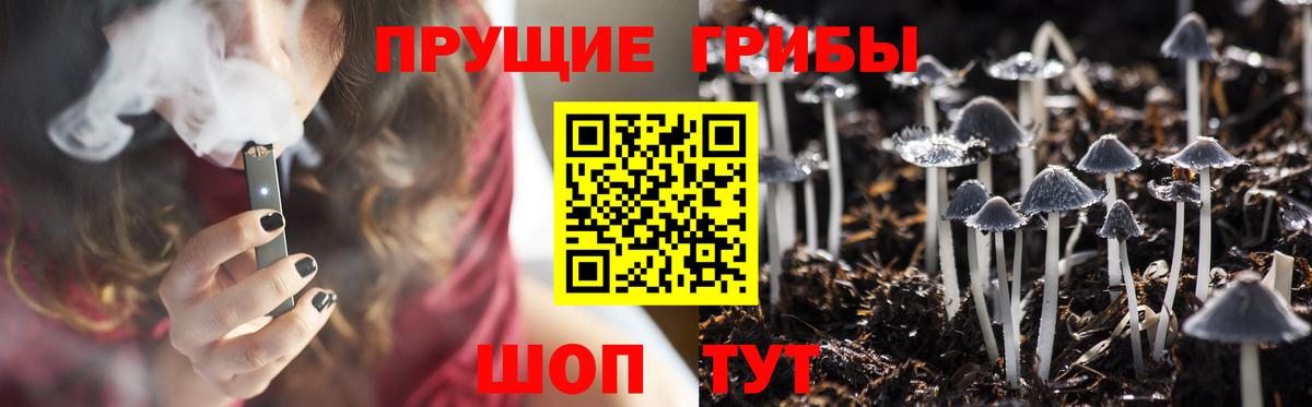 Галлюциногенные грибы GOLDEN TEACHER  Вход с VPN  Павловский Посад 