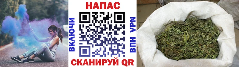 Марихуана план цены Павловский Посад